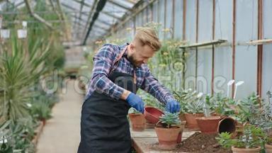 一位颇有魅力的年轻花<strong>店老板</strong>在花房里工作，他把一个计划非常小心、集中地栽进一个花盆里